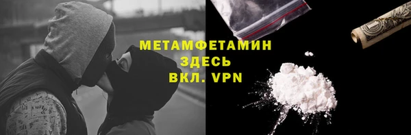 индика Новозыбков