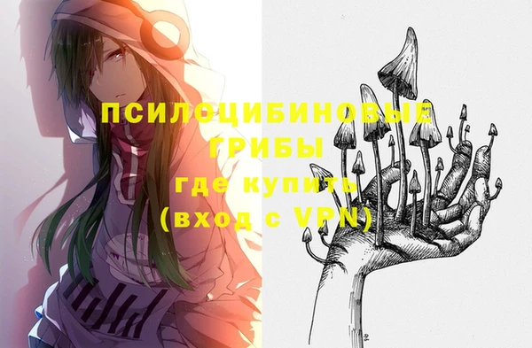 тгк Алексин