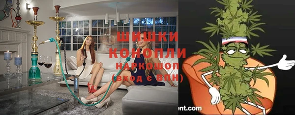 ПСИЛОЦИБИНОВЫЕ ГРИБЫ Новокубанск